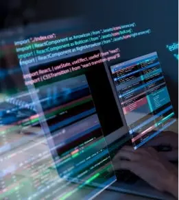 Web Development 